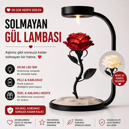 MOONLAMP Kırmızı Gül Dekoratif  Hediyelik Lamba
