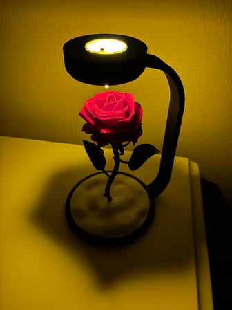 MOONLAMP Kırmızı Gül Dekoratif  Hediyelik Lamba