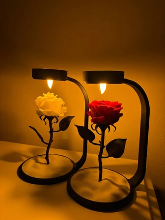 MOONLAMP Kırmızı Gül Dekoratif  Hediyelik Lamba