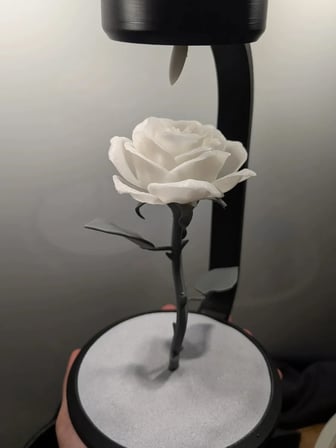 MOONLAMP Beyaz Gül Dekoratif Hediyelik Lamba