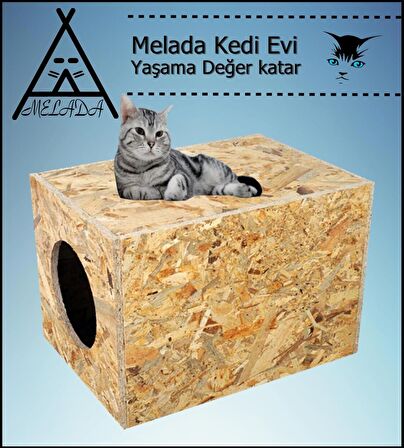 Melada Kedi Evi Dış Ortam Uygun Ahşap Kedi Evi OSB 40x30x30 cm