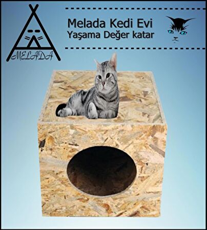 Melada Kedi Evi Dış Ortam Uygun Ahşap Kedi Evi OSB 40x30x30 cm