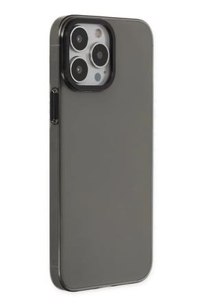 Newface Apple iPhone 13 Pro Max Kılıf Anka PC Sert Metal Kapak - Siyah