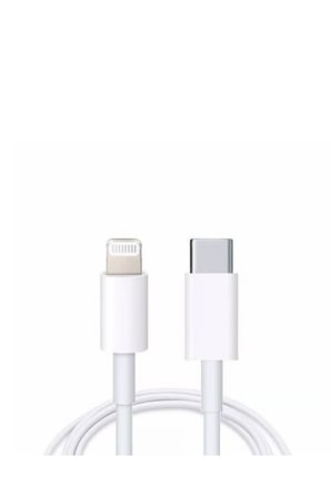 Sayarmarkt 20W Lightning & Type-C Şarj Cihazı Beyaz 1.2m Kablo Hızlı Şarj
