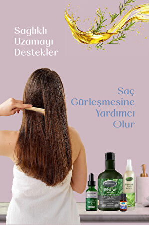 Biberiye Saç Bakım Seti Aura - Saç Dökülmesi ve Yıpranmış Saçlar için Güçlendirici Biberiye Şampuanı 400 ml + Biberiye Saç Bakım Serumu ( E-Vitaminli) 50 ml + Biberiye Suyu 250 ml + Biberiye Yağı 10 cc