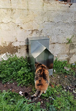 Kedi Köpek Mama Istasyonu 7 kğ