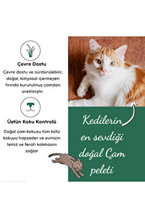 Çam Peleti sürüngen Kumu Net 5 Kg - 10 Lt - Topaklanmayan %100 Organik Cam Peledi