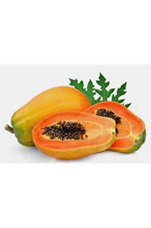 10 Adet Tohum Ithal Nadir Tropikal Bodur Papaya Ağacı Tohumu Papaya Meyvesi Süpriz Hediye