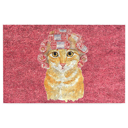 Monnhein Kapı Önü Paspası - Modern ve Şık Kapı Paspası | Ev, Ofis ve Dış Mekân Kullanımı İçin (Salon Kedisi)