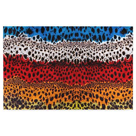 Monnhein Kapı Önü Paspası - Modern ve Şık Kapı Paspası | Ev, Ofis ve Dış Mekân Kullanımı İçin (Renkli Leopar)