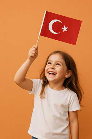 ( 250 Adet ) Vatan Küçük Boy Çıtalı Kağıt Türk Bayrağı Ay Yıldız Bayrak 12 x 20 cm