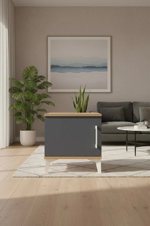 Luna Komodin 44x44x48 cm | Tek Kapaklı, Çam-Antrasit, Şık Tasarım - Mini Dolap