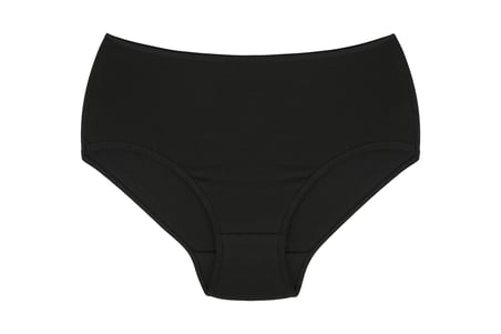 Moda Çizgi Kadın Büyük Beden Külot Siyah 40264