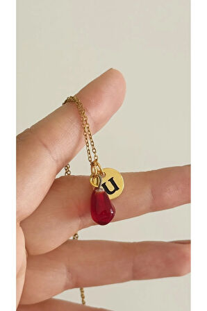 Nar Tanem Harfli Çelik Kolye