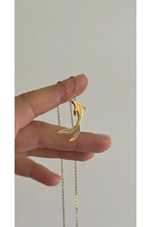 Çelik Zincir Sedefli Koli Balığı Kolye