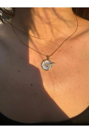 Çelik Kararmaz Yusufçuk Kolye