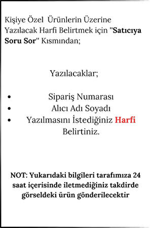 İnce Top Zarif Çelik Zincir ile Mineli Dünya Zirkon Taş İşlemeli Harfli Çelik Kadın Kolye