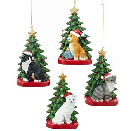FOUR CAT