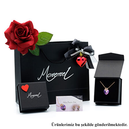 Monemel Kristal Taşlı Kolye ve Küpe Set (Gümüş)