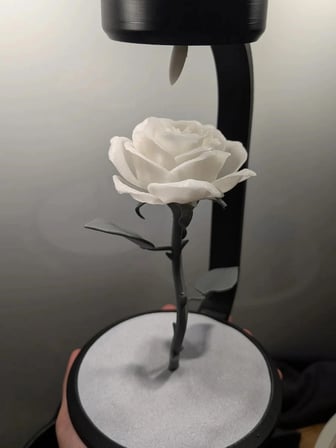 Moonlamp Modern Solmayan Gül Lambası BEYAZ