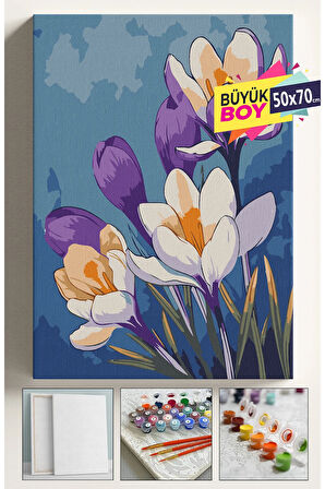 Sayılarla Boyama Seti Numaralı Tuval Fırça Boya Dahil Kasnaklı Set 50x70 Cm - MOR ÇİĞDEM