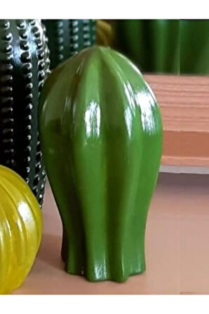 3 Boyutlu Noktalı 16cm Uzun Kaktüs Silikon Kalıp K-1356