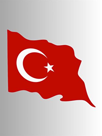 AYYILDIZ BAYRAK DALGALI 8cm STİCKER ETİKET
