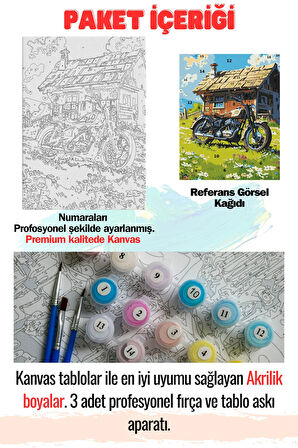 Sayılarla Boyama Çerçeveli Hobi Seti Numaralı Tuval Fırça Boya Dahil Kasnaklı MOTOR 40X50 Cm