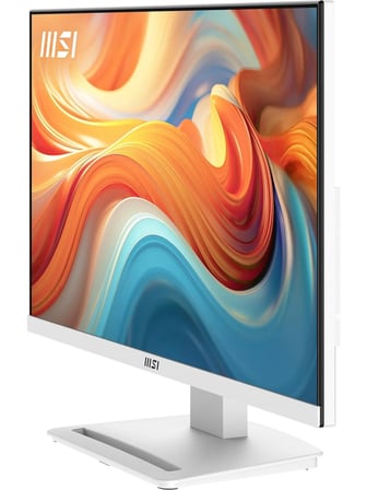 Msi Pro Mp241W E14V 23.8" 1 Ms Full Hd 144 Hz Monitör