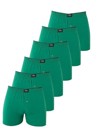 Premium 6'lı Paket Yeşil Erkek Penye Havlu Bel Boxer %100 Pamuk Rahat Lastikli Pamuklu