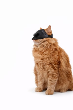 Kedi & Küçük Evcil Hayvanlar İçin Siyah Maske | Dekoratif Eğlenceli Fotoğraf Maskesi | Hafif