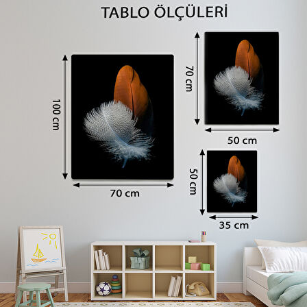 Minimalist Temalı, Asil Tüy Tablo-TBL336