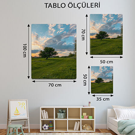 Manzara Temalı, Çayır Yolu Tablo-TBL35