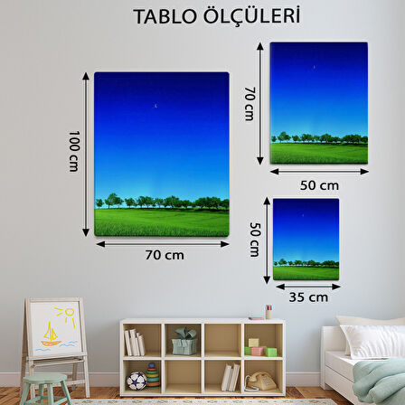 Manzara Temalı, Açık Orman Tablo-TBL363