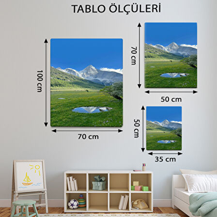 Manzara Temalı, Çayırlık Tablo-TBL8