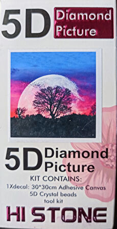 Boncuklu Goblen 5d Taşlı Mozaik Elmas Goblen Diamond Picture Kıt 30x30 Tamamı Yuvarlak Boncuklu