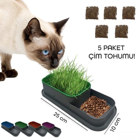 Premium Hidroponik Kap Tüy Yumağı Önleyici Bitki Yetiştirme Seti Topraksız Kedi Çimi Kabı