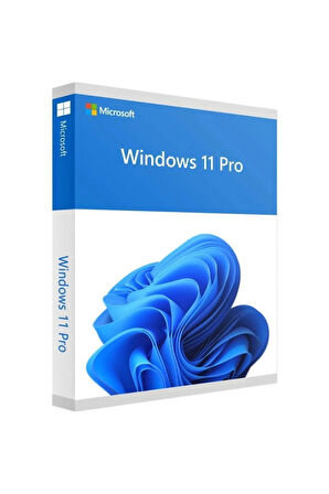Windows 11 Pro Dijital Lisans