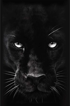 Siyah Jaguar Hayvan Temalı Leke Tutmaz Masa Örtüsü MSO415