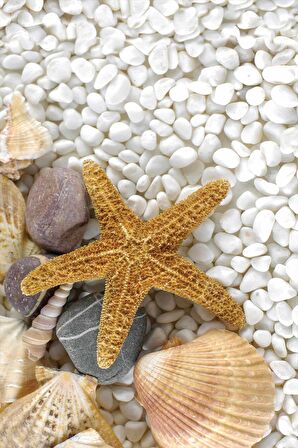 Sarı Deniz Yıldızı Dokuma Leke Tutmaz Masa Örtüsü MSO459