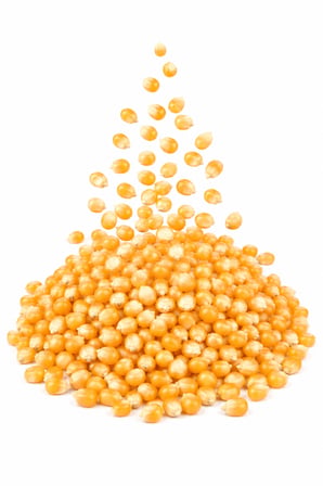 Çıtır Çıtır ve Taze 1 kg Dökme Patlamalık Mısır