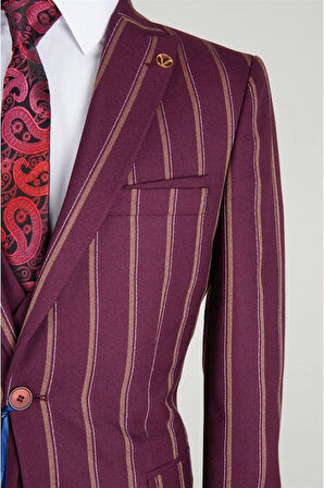 Slim Fit Bordo Takım Elbise Çizgili Desenli