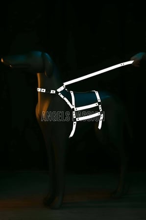 Reflektörlü - Ayarlanabilir Köpek Harness - Köpek Gezdirme Aparatı - Npd007 -MİRAYLİFE