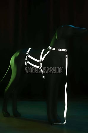 Reflektörlü - Ayarlanabilir Köpek Harness - Köpek Gezdirme Aparatı - Npd007 -MİRAYLİFE