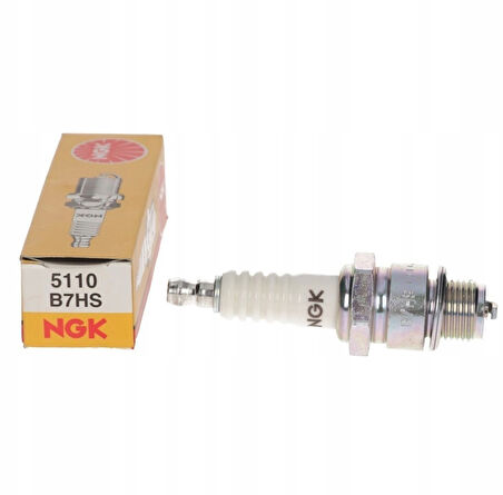 MZ 251 NGK Buji