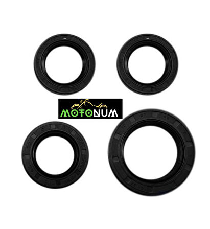 Mondial Hs 150 Keçe Takımı M0015