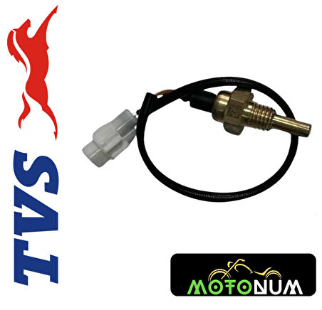 Tvs Raider 125 Hareret Müşürü MTNR4060090