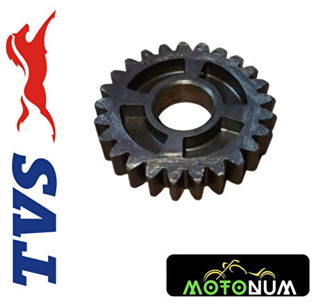 Tvs Raider 125 Vites Dişlisi MTNN6080560