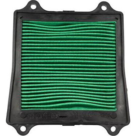 Bajaj Hava Filtre Dominar 400 UG/ Dominar 250 Pulsar 200 NS-Pulsar 200 RS