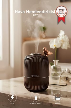 Premium H17 Koyu Kahverengi 280 ML Buhar Makinesi Kompakt Cihaz Estetik Tasarım Ev Aksesuarı